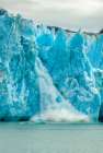 USA-Alaska-Tongass National Forest Dawes Glacier calving in Endicott Arm water Art Print